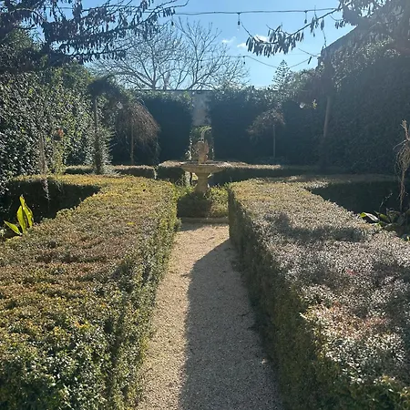 Palazzo Costantini Bed & Breakfast
